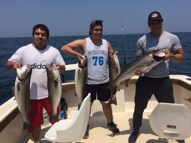 Aces Wild Rhode Island Fishing Charter land Several Large Striped Bass