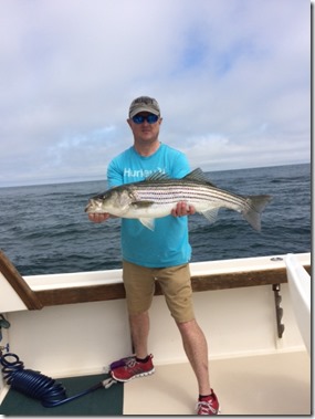 More Stripers fishing charter in rhode island
