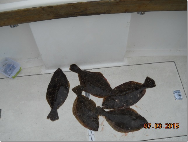 rhode island flounder charter