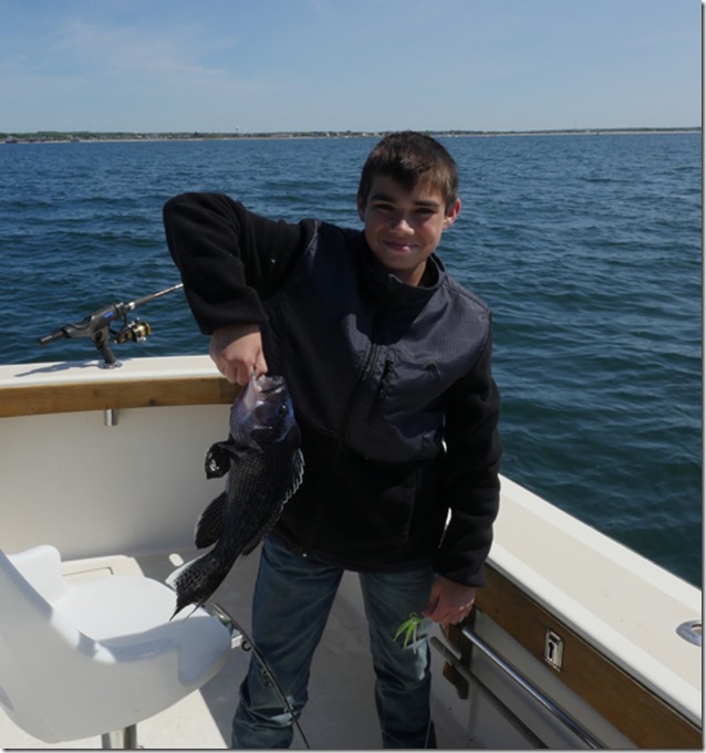 matt gets a sea bass on his ri fishing charter