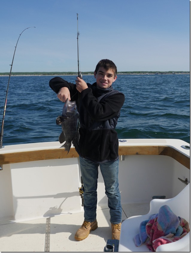 matt gets himself a sea bass on his ri sea bass fishing charter