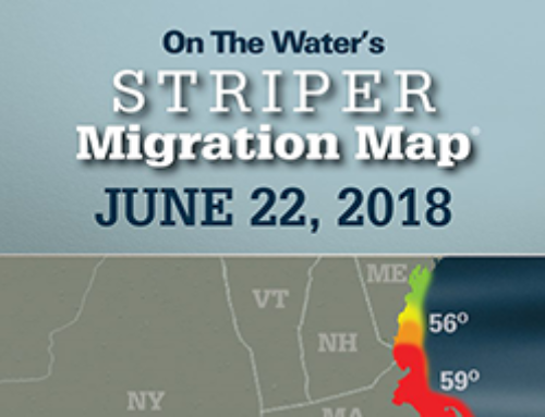 Ri Striped Bass Migration – June 22 2018