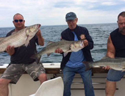 Sean and Friends Deep Sea Fishing Charter for Striped Bass Hook Into a 37″ Striper!