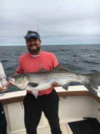 striped bass charter in rhode island on aces wild