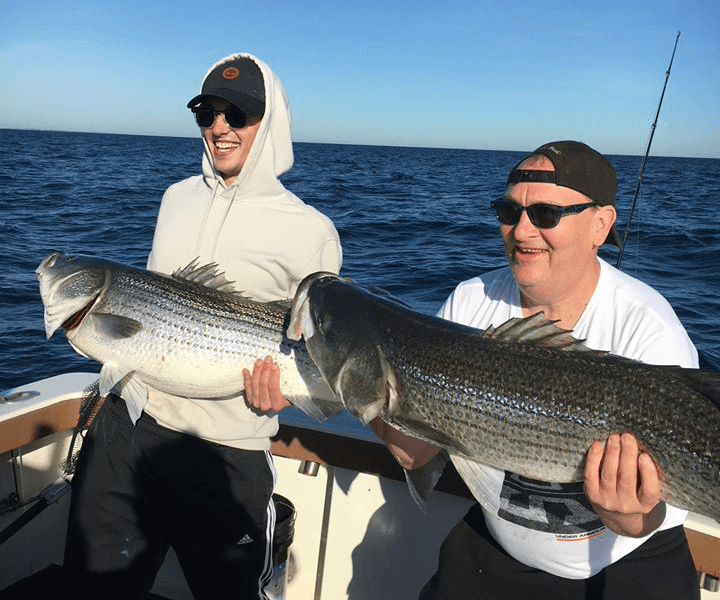 Striped bass fishing charter on aces wild knocks it out of the park!