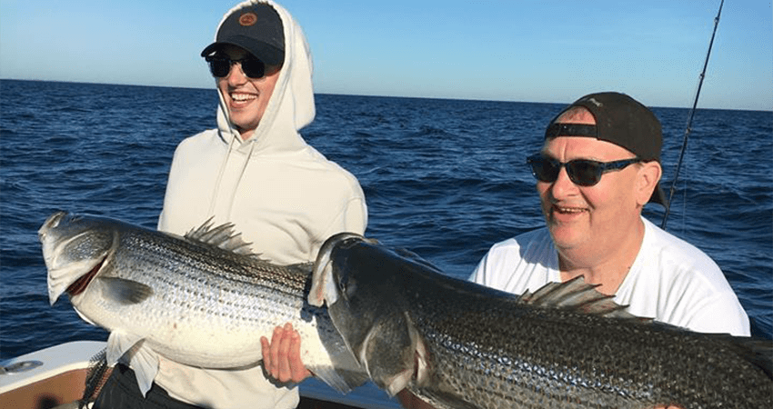 striped bass charter on Aces Wild Knocks it out of the park 850 450