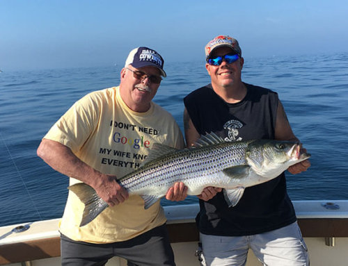 Aces Wild Rhode Island Charter Fishing Weekly Update June 21st