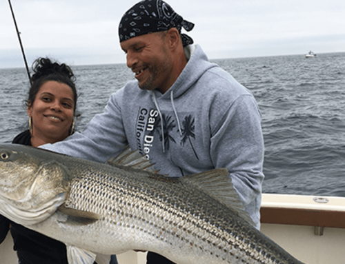Aces Wild July Block Island Fishing Charters Update