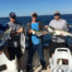 rhode island fishing charters with aces wild launching soon