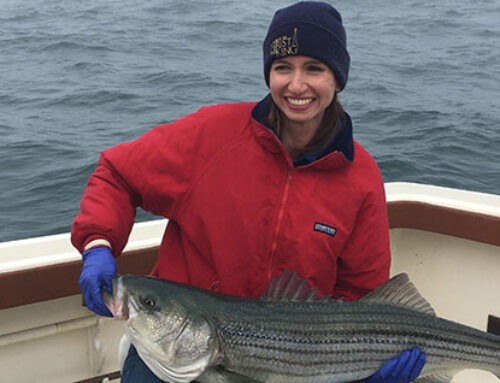 RI Charter Fishing Pictures from May 2025