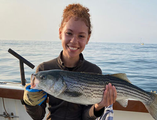 RI Charter Fishing Pictures June 01 – 17 2025