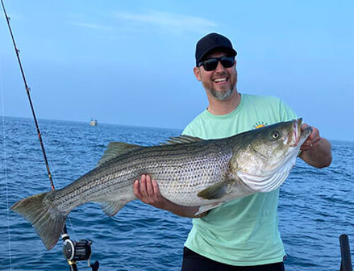 “Once upon a time…” Let’s go fishing!